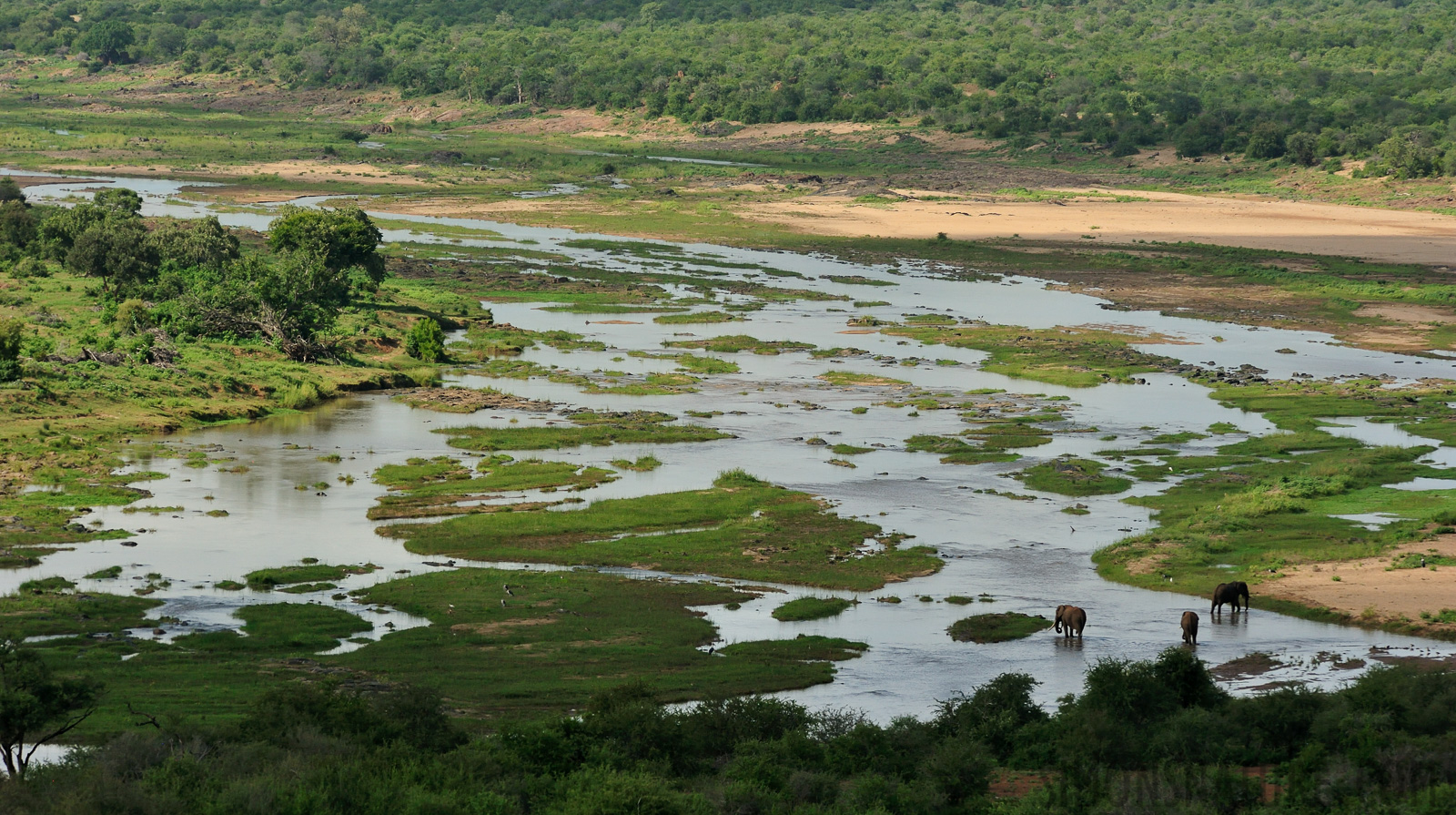 Kruger National Park [280 mm, 1/2500 Sek. bei f / 8.0, ISO 1600]